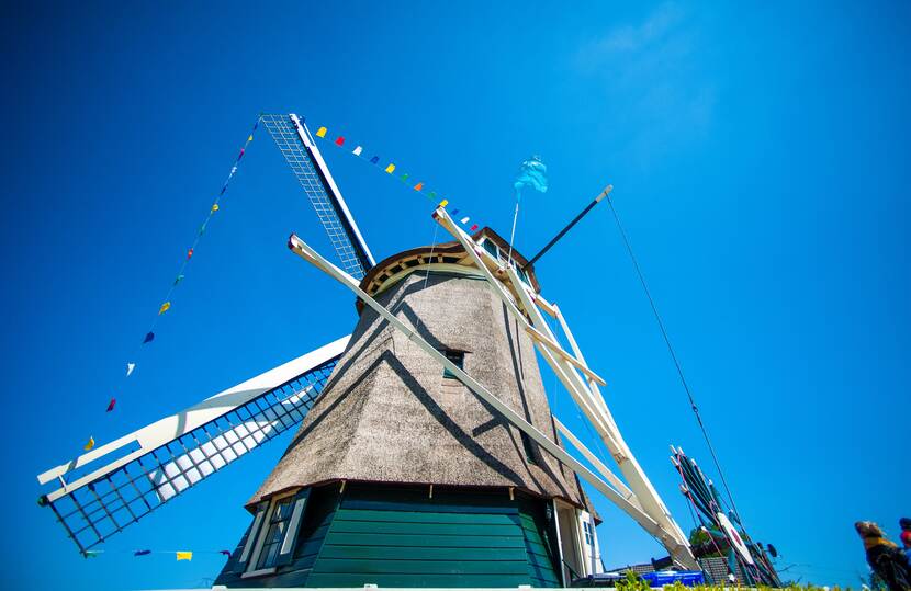 molen